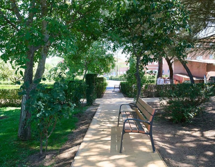 Jardin exterior (13)